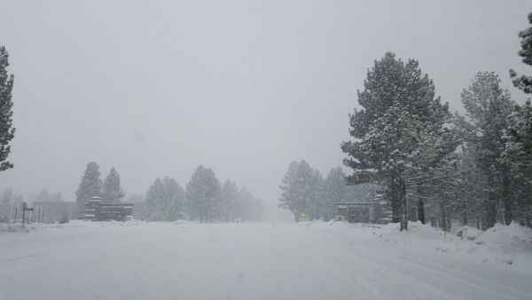 Fresh Snow Next 4 Days: Snowmadness at Nomadness