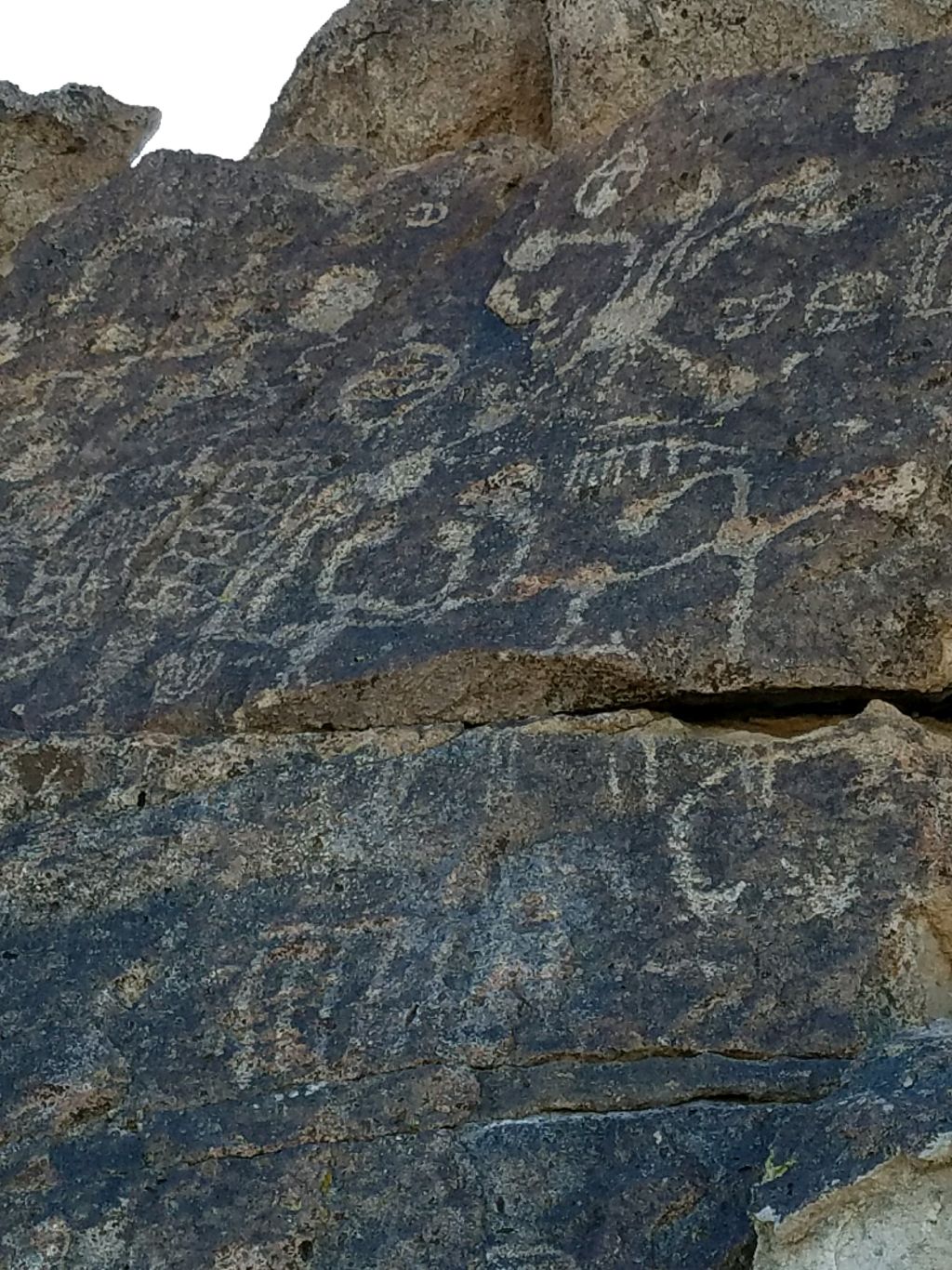 Mammoth’s Hidden Petroglyphs